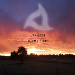 Jake Brink - Warm Visions