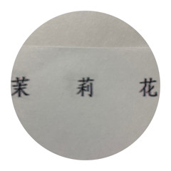 茉莉花 Jasmine Flower