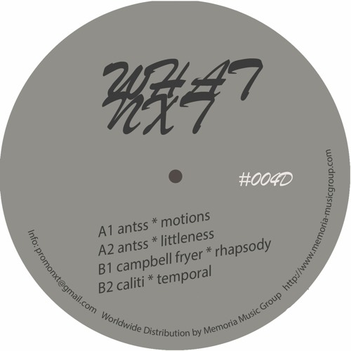 Ants - Littleness (Snippet) [What NxT]