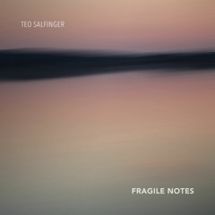 Fragile Notes