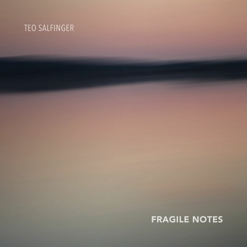 Fragile Notes