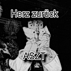 Absent - Herz zurück (FL remix)