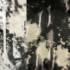 otttto - Aesopian Language [DVNTT034]