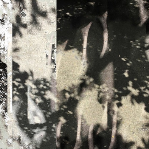 otttto - Aesopian Language [DVNTT034]