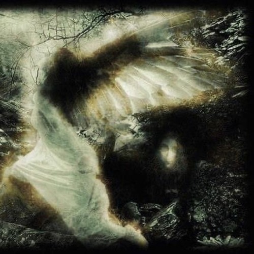 : don't by. where swans will weep / mikano re: