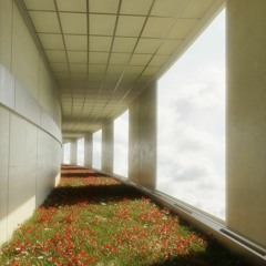 Level 369 (The Front Rooms)