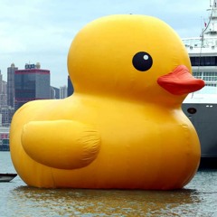 Ducky (prod. 800pts)