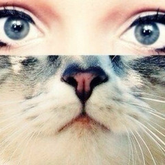 swagwalk w/holyxan (mingus)