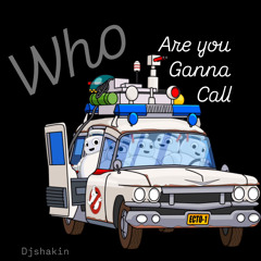 WHO ARE YOU GONNA CALL