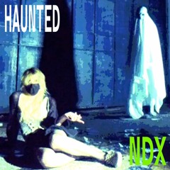 haunted [NDX//RMX]