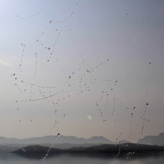 Eilean Beag Donn A'Chuain (Little Brown Island In The Sea) Multi-Track Strings Mix