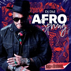Mix Afro Spring Vol 1 - Dj Did (2020)#NaijaVsAfrohouse