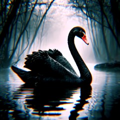 Black Swan Event
