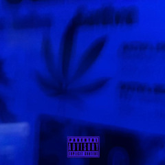 STARS (Interlude)
