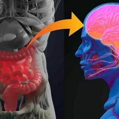 Agy-bél tengely meditáció Szilasi Mártival - 2024. február 8. 20:00