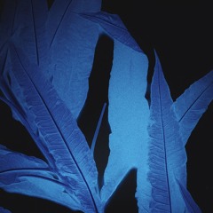 Hard Digital Scene pt.1