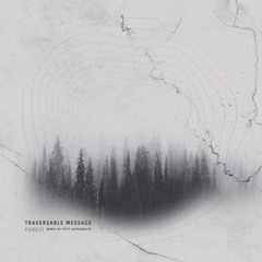 BDT PREMIERE 039 - Traversable Message - Submerged
