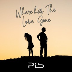 PIB | Where has The Love Gone (Radio Edit)