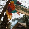 Kora @ Envision Festival 2023 [Sunrise Set on Lapa Stage] DJ mix artwork - Electronic music tracklist cover image