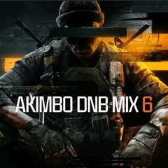 AKIMBO DNB MIX 6