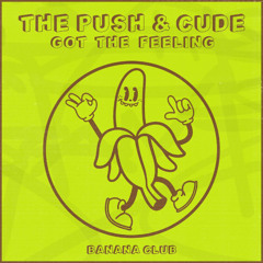 GOT THE FEELING - THE PUSH & CUDE