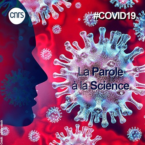 #COVID19 | La parole à la science