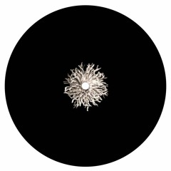 Noir - Around (Franco Schmidt Edit)