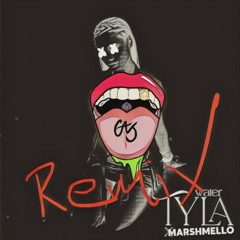 Tyla, Marshmello - Water (G.A.S. Remix)
