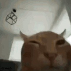mine