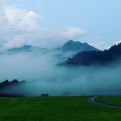 Stephan Zinn - Im Nebel