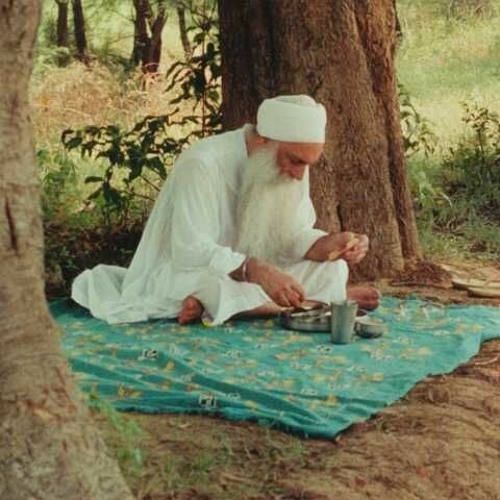 Is Jug Main Sobha Naam Ki | Ragi Ajmer Singh Ji | Nanaksar Dharna