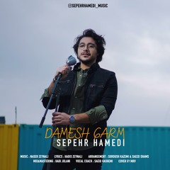 Sepehr Hamedi - Damesh Garm