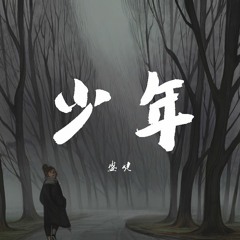 盛婕 - 少年 (Cover : 梦然)【動態歌詞/Lyrics Video】