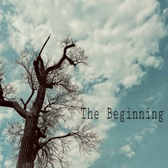 The Beginning