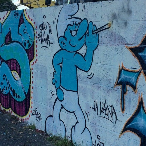 K1ng K0ng K1tch3 K1tch3 K1 M3 K0mg