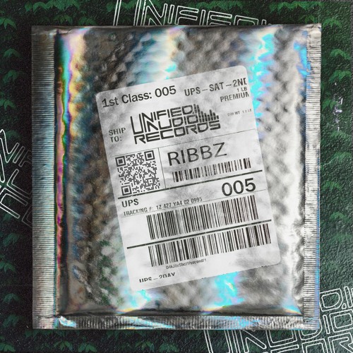The First Class Mix Series 005: Ribbz PT 2