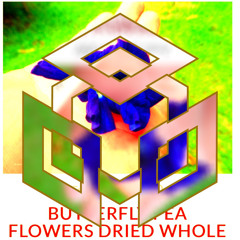 It’s Like This Devil is a Lion It’s Like That Mega Hip Hop star in heaven