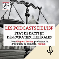 Etat de droit et démocraties illibérales