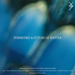 Symmetric & Future Of Matter | Between Two Thoughts | LNTHN018