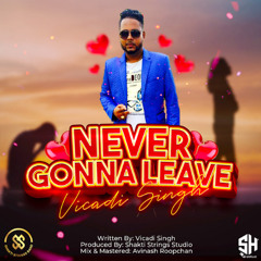 Ravi B,Vicadi Mash Up Chutney Mix