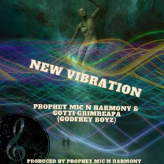New Vibration By Godfrey Boyz (Prophet Mic N Harmony & Gotti Grimreapa)