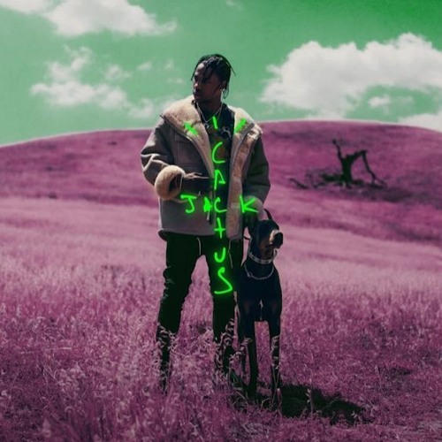 Travis Scott/Playboi Carti Perfect Transitions Mashup | Part 1