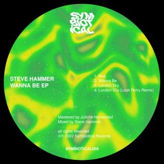 Premiere : Steve Hammer - London Dry