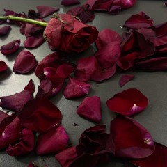 rose petals