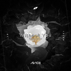 Avicii - Without You (KNo1 Remix)