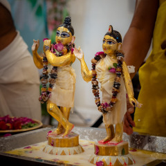 Nandu - Janmastami Kirtan - 8.26.24