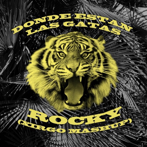 Stream Donde Estan Las Gatas x Rocky (Xirgo Mashup) [Nicky Jam