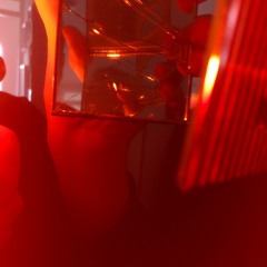 Die Kleinen Dinge Des Herrn Schmus