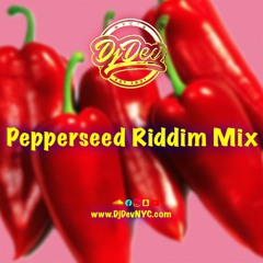 Dj Dev NYC - Pepperseed Riddim Mix