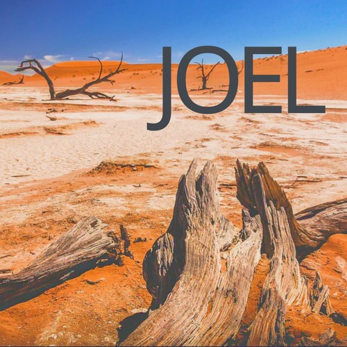 Joel